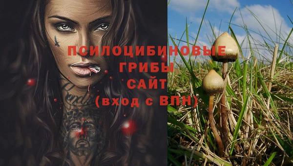 прущий лед Волоколамск