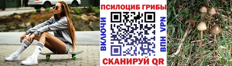 MEGA tor  Лиски  Псилоцибиновые грибы прущие грибы 